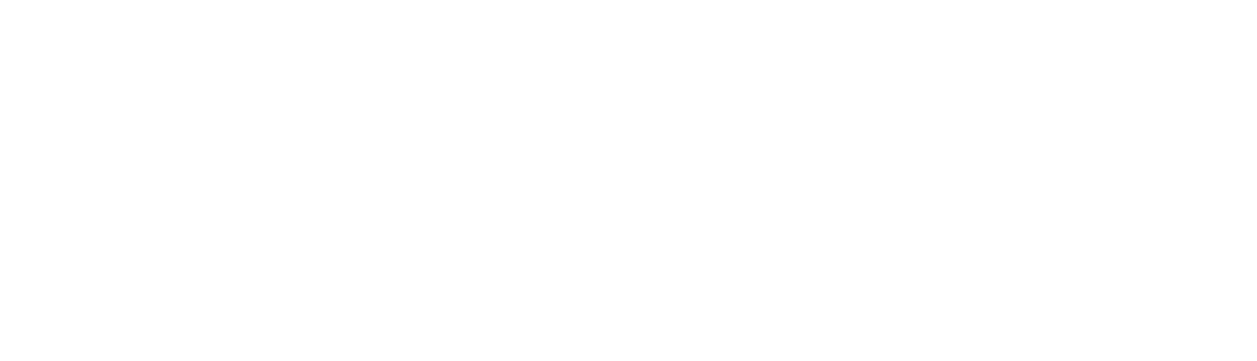 LOGO-BLANCO-2025-VIÑA
